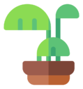 bamboo