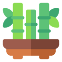 bamboo