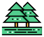 trees