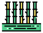 bamboo
