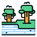 rainforest