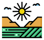 field