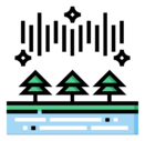 pines
