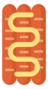 sausage