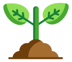 sprout