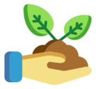 sprout
