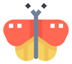 moth