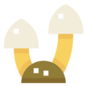 mushroom