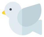 dove