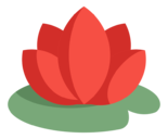 lotus,flower