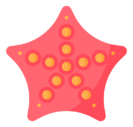 starfish