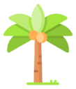 palm,tree