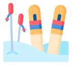 ski