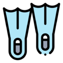 fins
