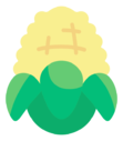 corn