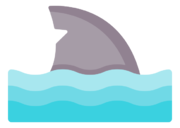 shark