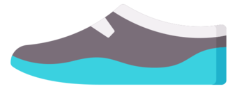 trainers