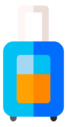 luggage