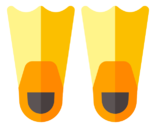 flippers