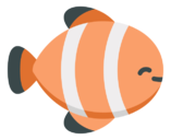 clown,fish