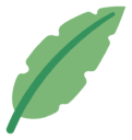 palm