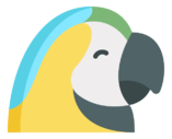 macaw
