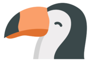 toucan