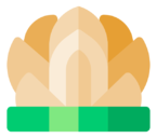 lotus,temple
