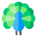 peacock