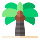 palm,tree
