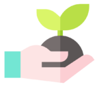 sprout