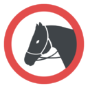 horse