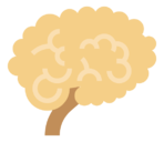 brain