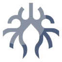 bronchus