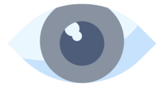 eye