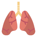 lungs