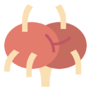 lymph,nodes