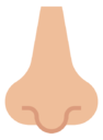 nose