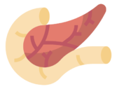 pancreas