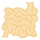 small,intestine