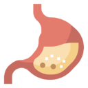 stomach