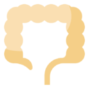 large,intestine