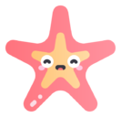 starfish