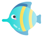 tropical,fish