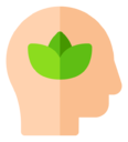 mindfulness