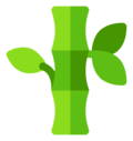 bamboo