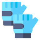 gloves