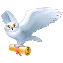 animal,bird,fly,mail,owl