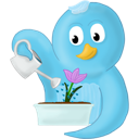 flower,no,spring,text