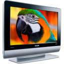 bird,monitor,nvtv,parrot,plazma,view